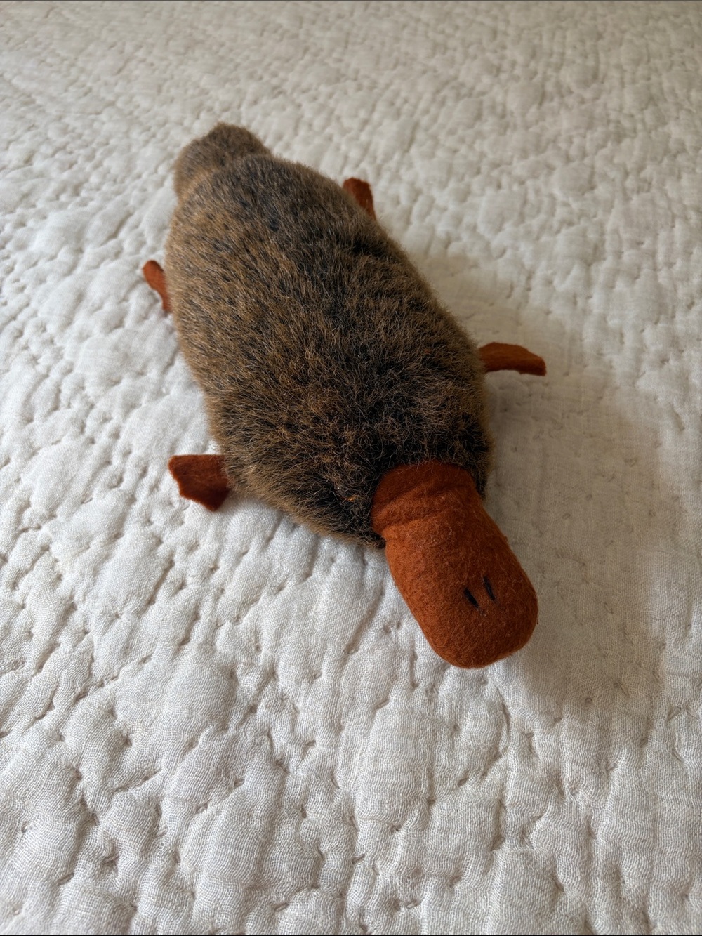 Australian Toys by Windmill plush Platypus